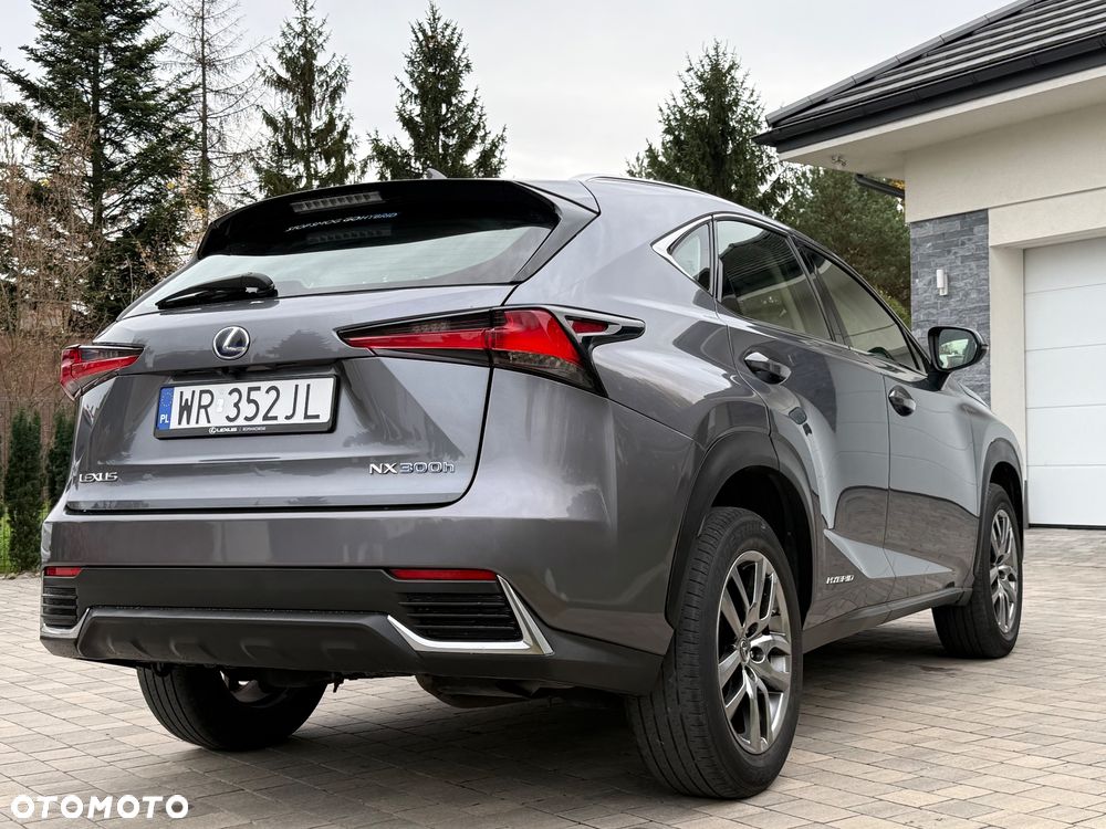 Lexus NX - 16