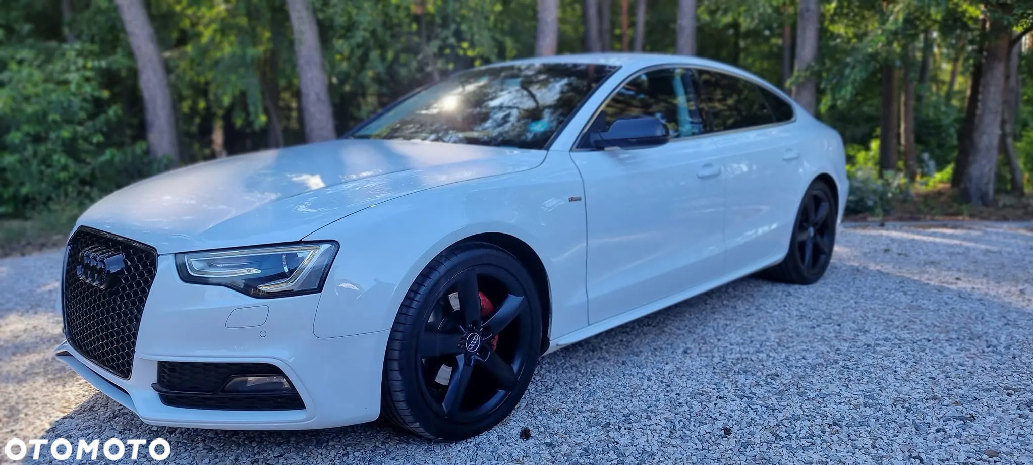 Audi A5 3.0 TDI Quattro S tronic - 19