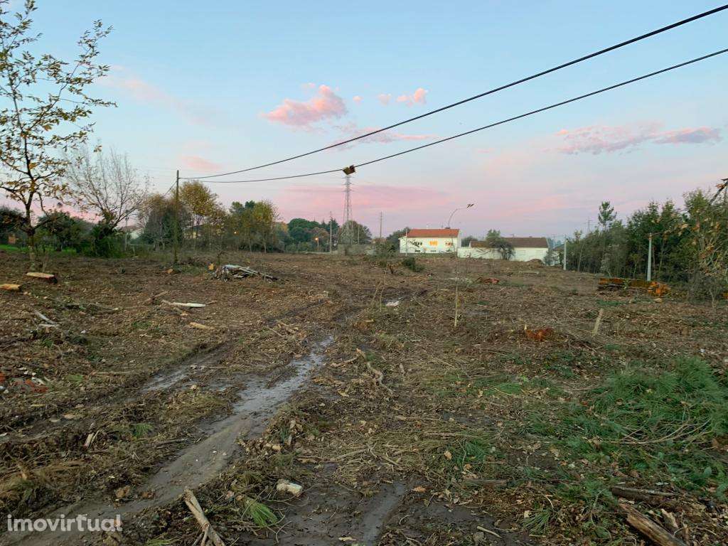 Quinta - Viseu - Grande imagem: 2/5