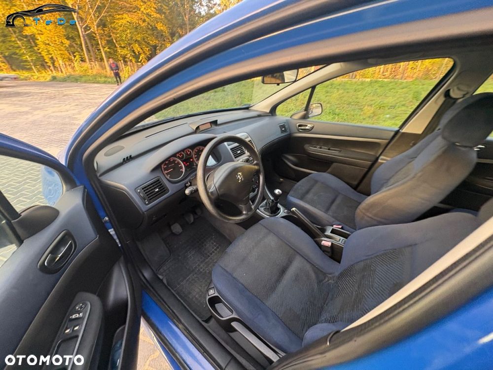 Peugeot 307 1.6 XT Premium Class - 12