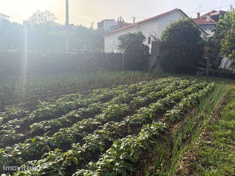 Terreno Ubano/Rural em Meireles, Vilas Boas