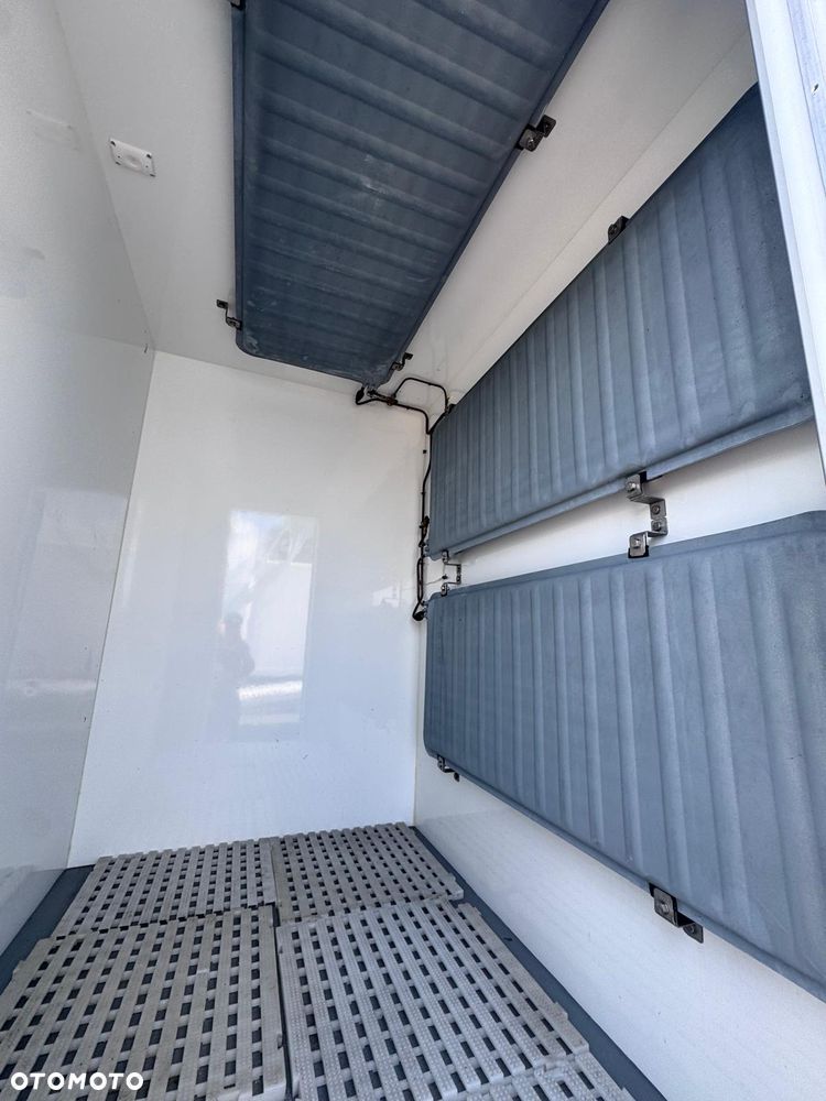 Renault Master / MROŹNIA / IZOTERMA / ThermoKing (632) - 13