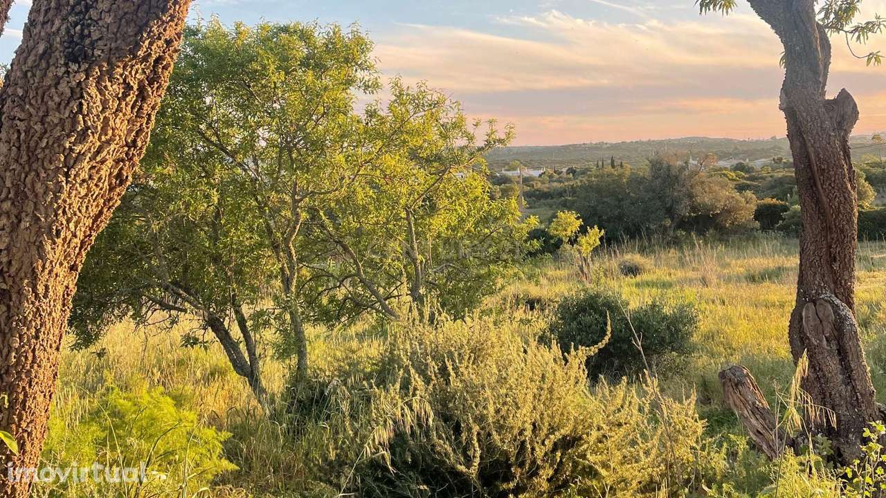 Quinta tradicional com vista deslumbrante e possibilidades para touris - Grande imagem: 3/26