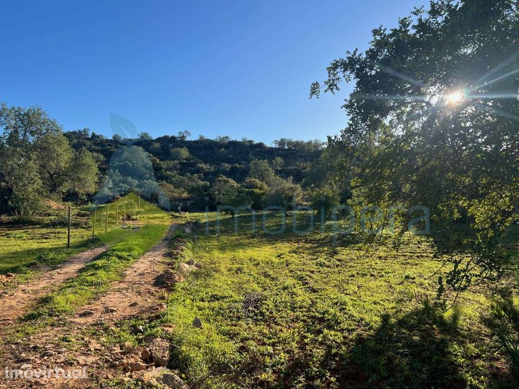 TERRENO RÚSTICO 2.900 m2 ZONA TRANQUILA LOCALIZADO ENTRE PADERNE E ... - Grande imagem: 5/8