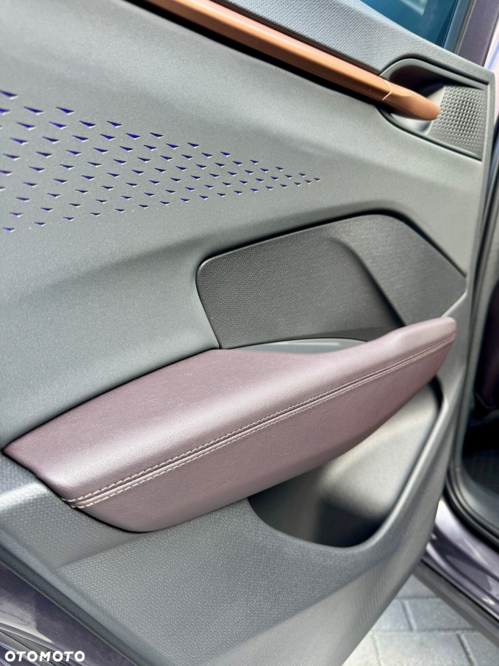 Cupra Terramar - 24
