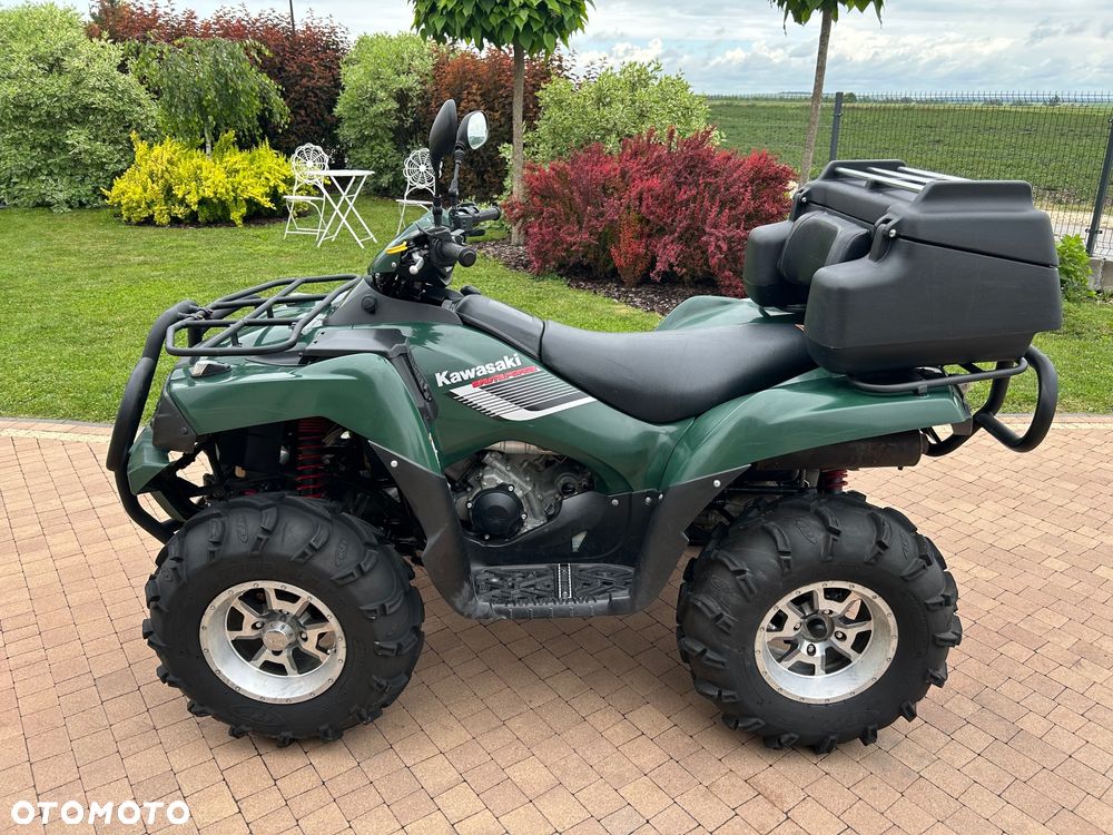 Kawasaki Brute Force - 8