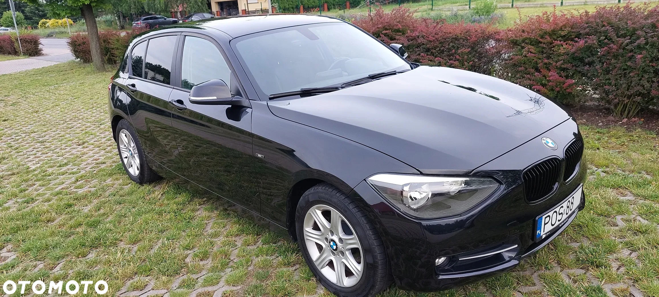 BMW Seria 1 116d EfficientDynamics Sport Line - 8
