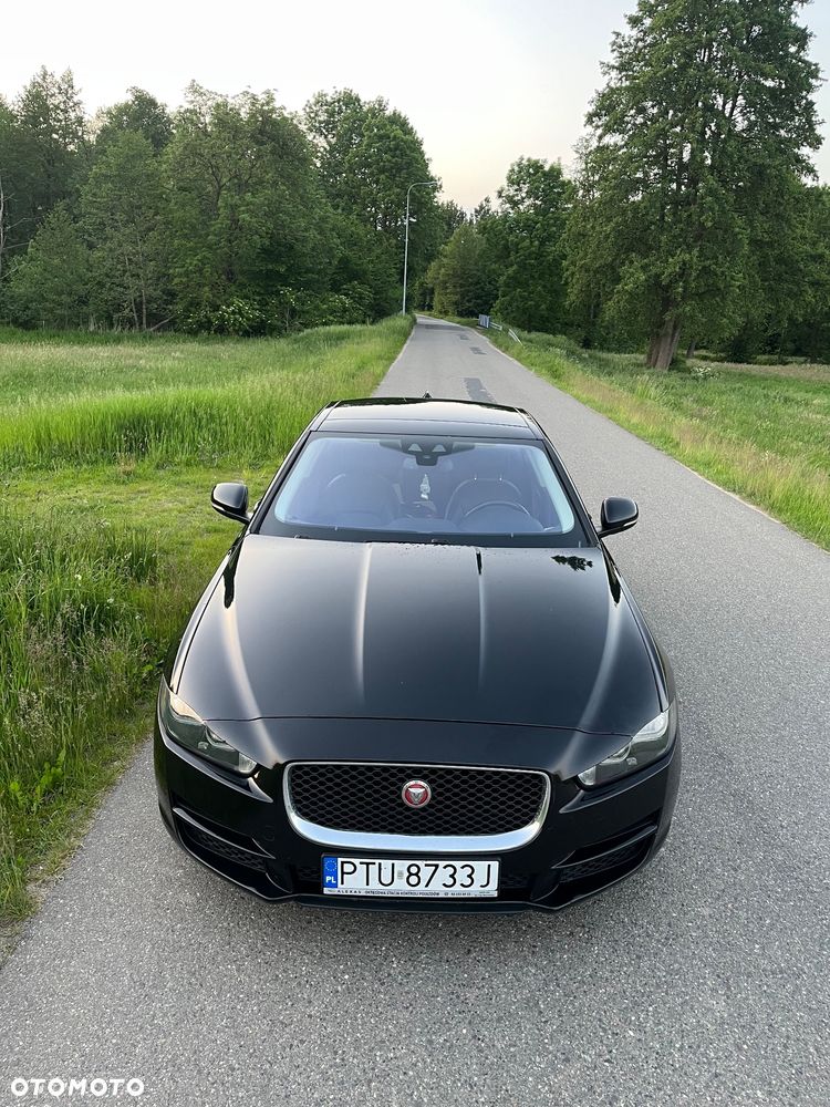 Jaguar XE 2.0 T Portfolio - 10