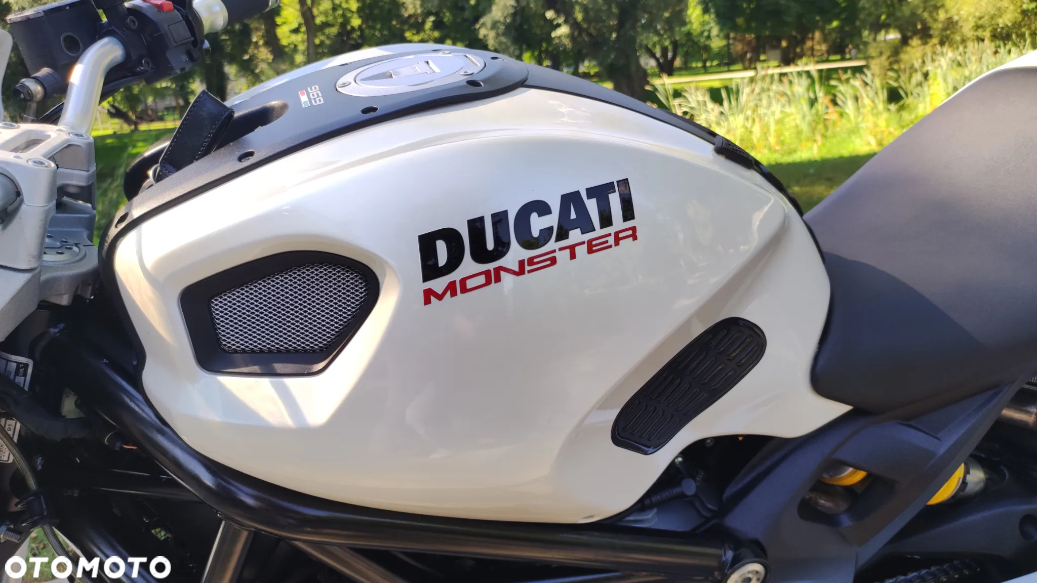 Ducati Monster - 13