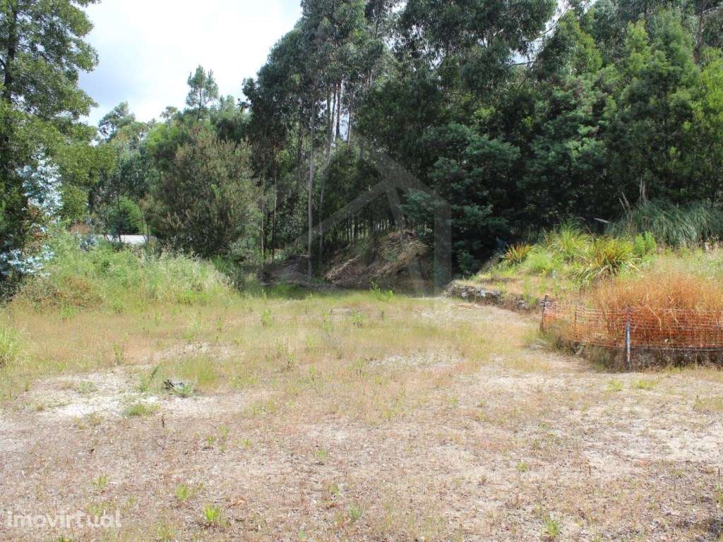 Terreno para construção com 4.080 m2 em Rio Meão - Grande imagem: 5/7