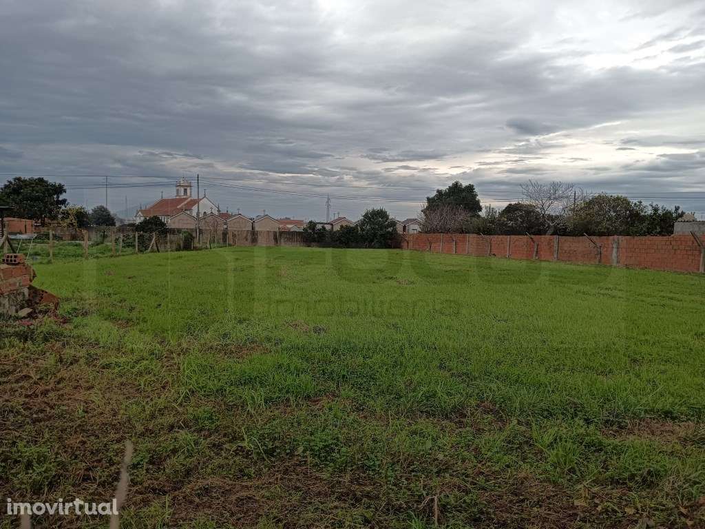 Terreno com 32m de frente Estarreja - Centro - Grande imagem: 3/13