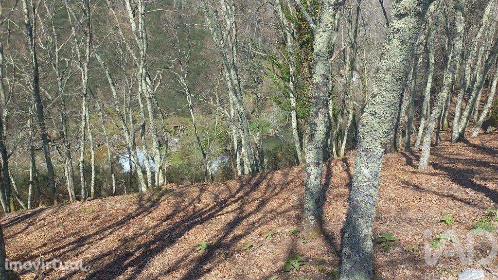 Terreno em Campelo e Ovil de 40,00 m2 - Grande imagem: 2/26