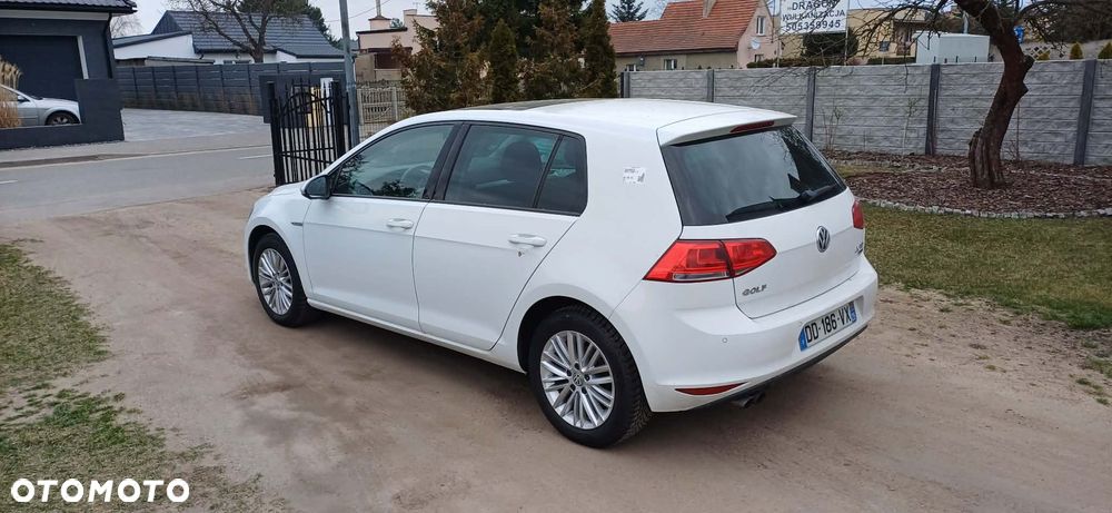 Volkswagen Golf 2.0 TDI BlueMotion Technology Cup - 3