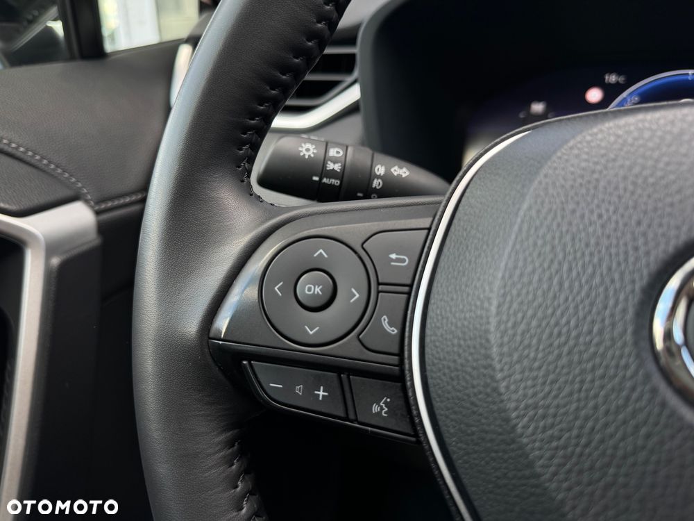 Toyota RAV4 - 18