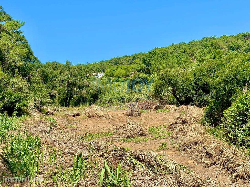 Magnífico Terreno para Construção na Ericeira - Grande imagem: 2/14