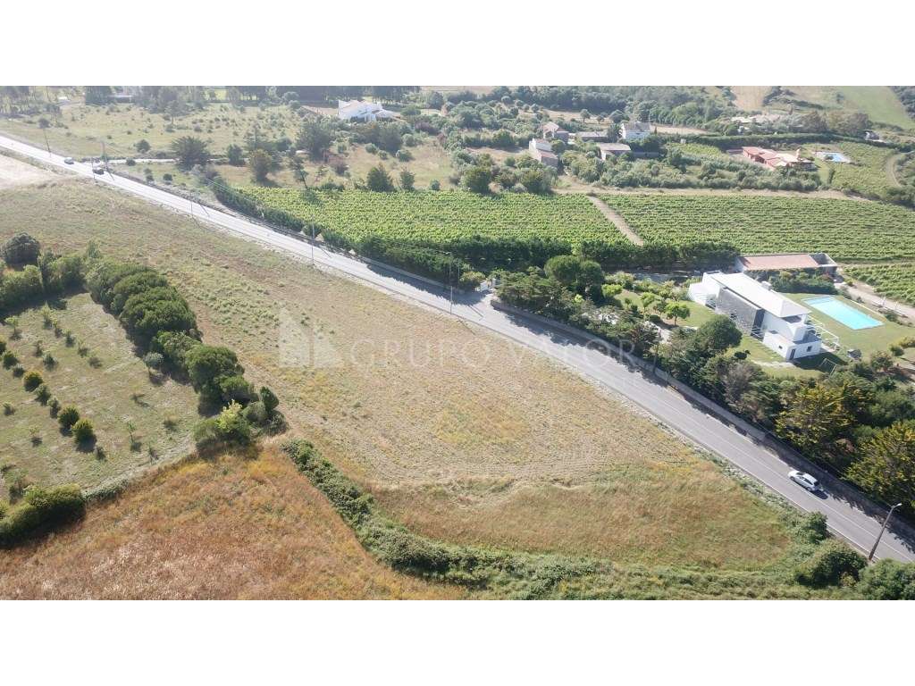 Terreno Rústico com 23.680m2, Janas - Sintra - Grande imagem: 4/9