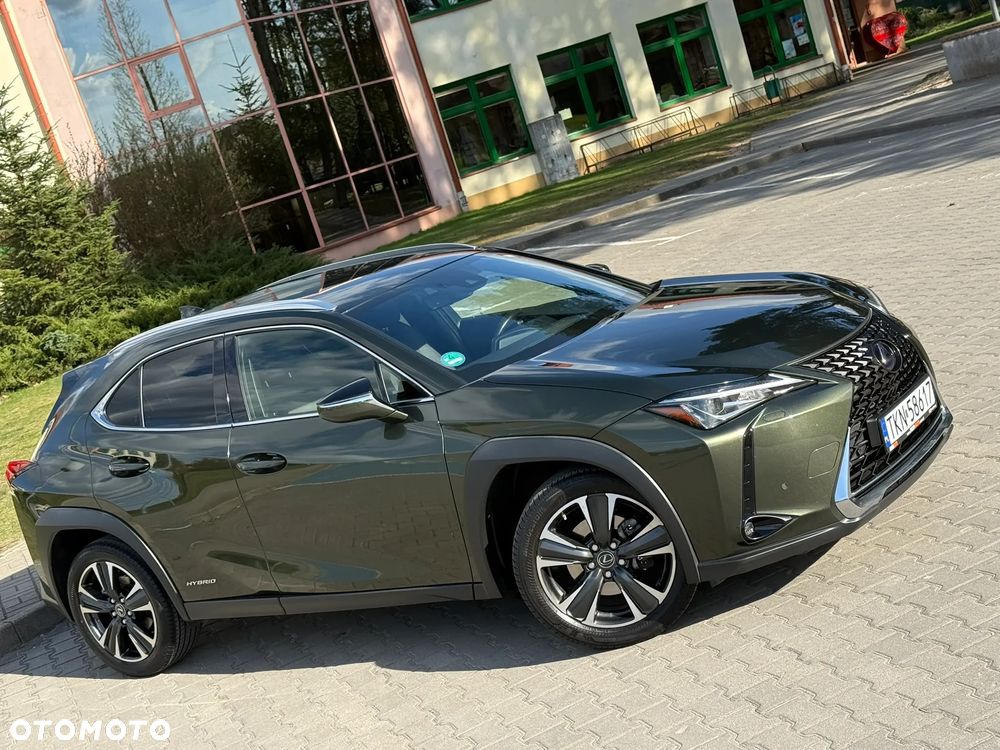 Lexus UX 250h F Sport 2WD - 14