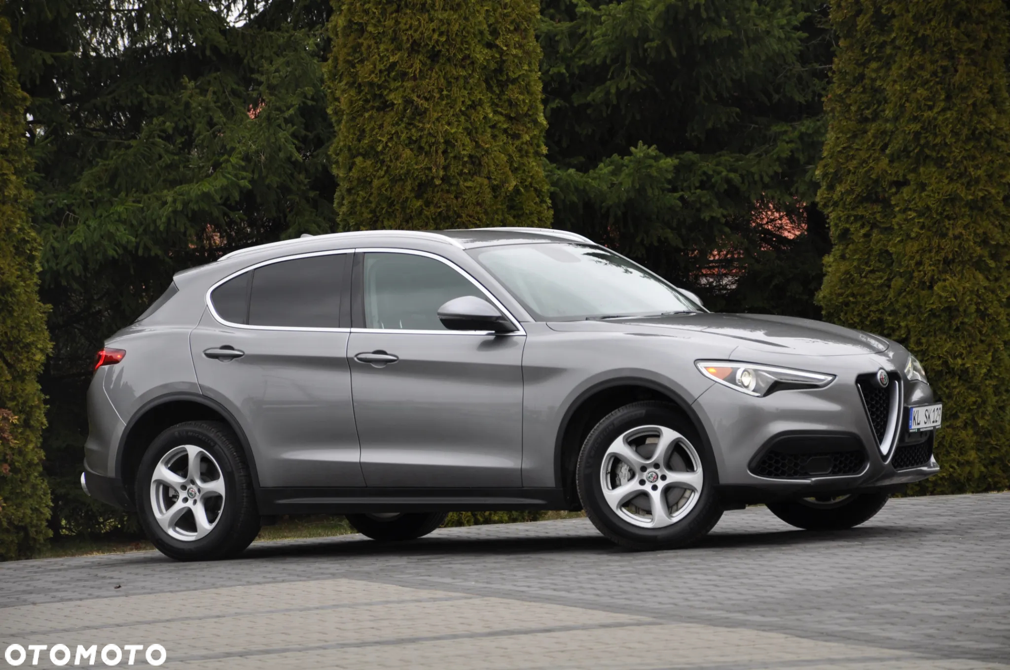 Alfa Romeo Stelvio 2.0 Turbo 16V AT8-Q4 Executive - 7