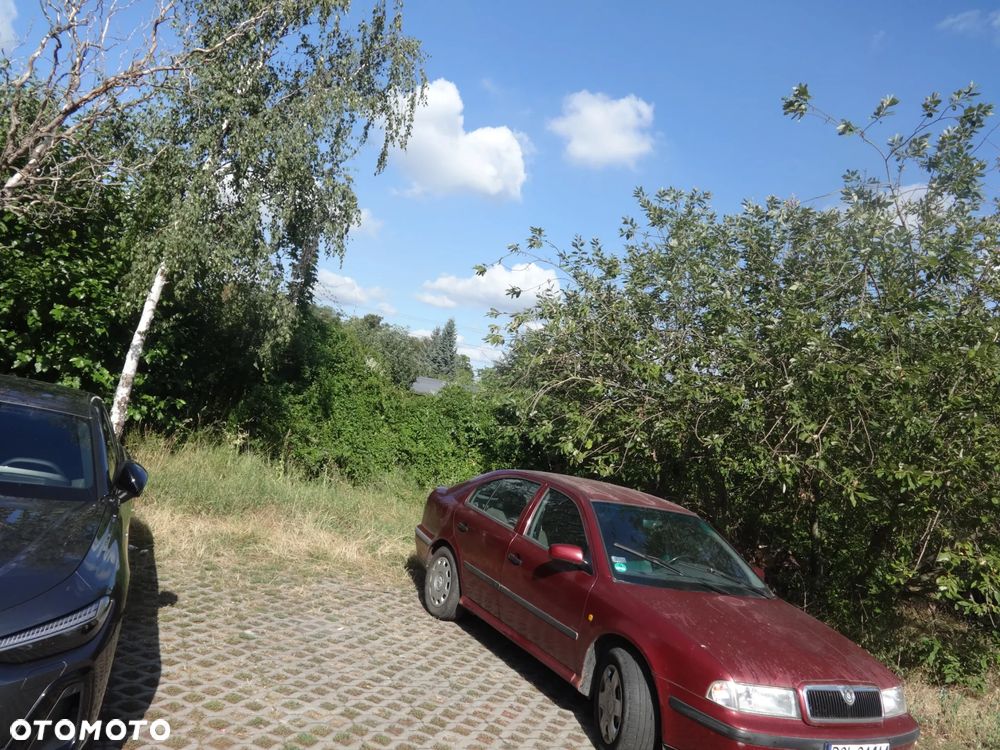 Skoda Octavia 1.6 LX - 1