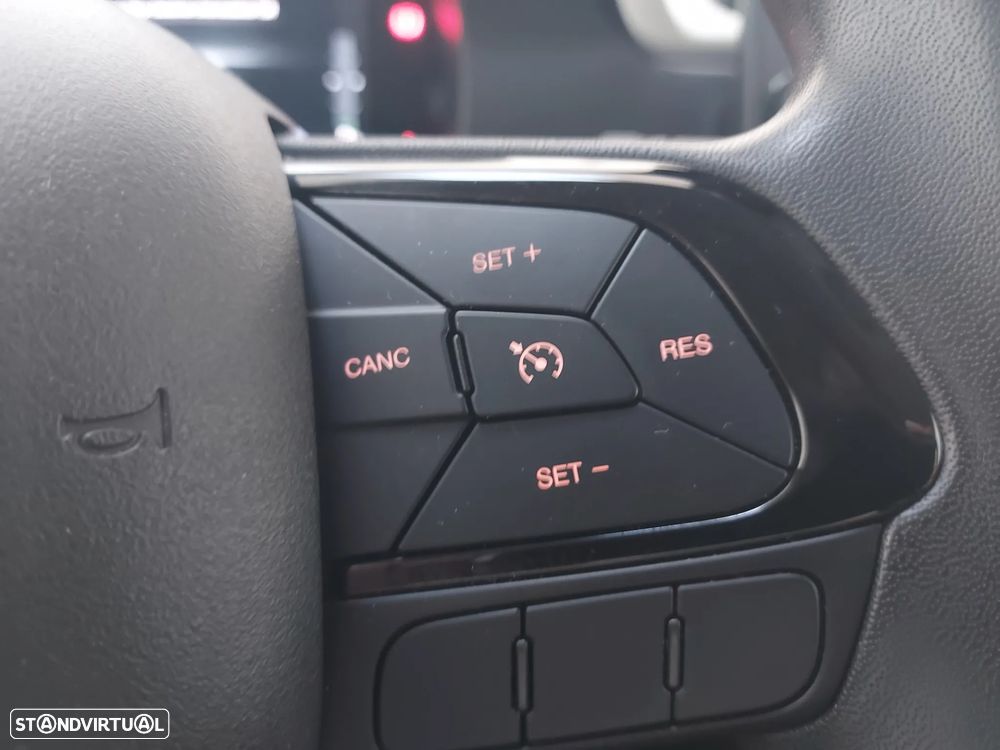 Fiat Panda Pandina 1.0 Hybrid - 15