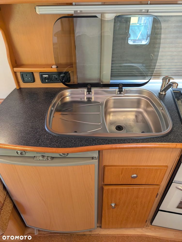 Avondale Golden Avocet - 20