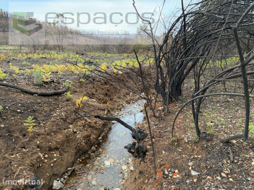 Cabeço dos Penedos - Grande imagem: 4/14