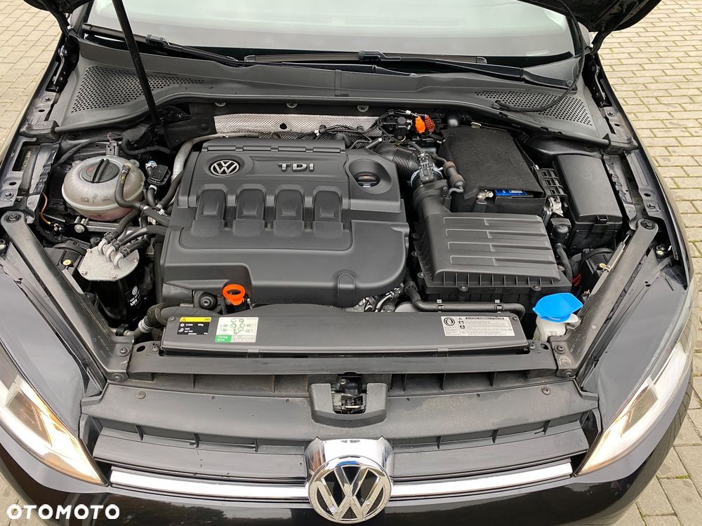 Volkswagen Golf VII 1.6 TDI BMT Highline - 21