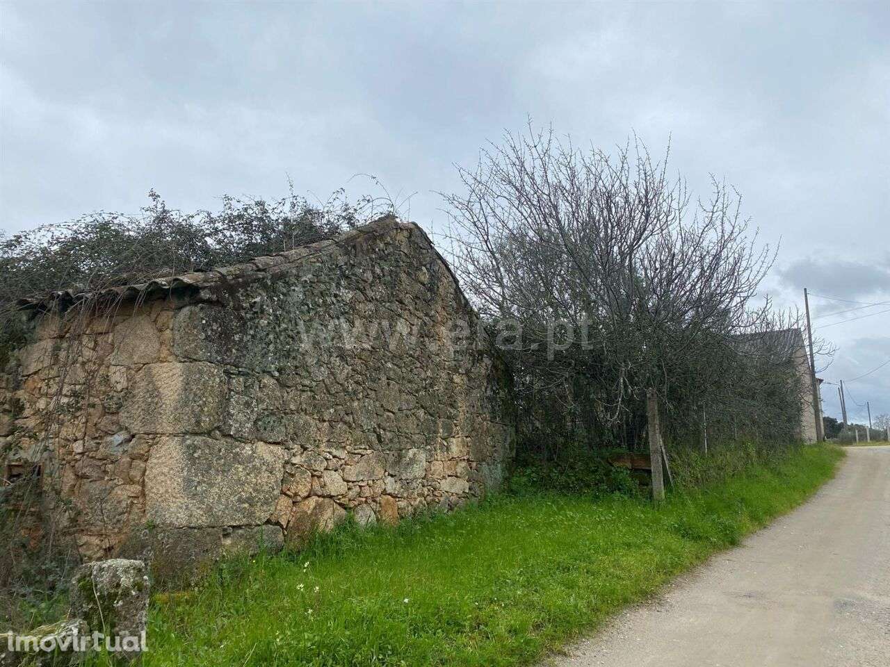 Quintinha T1 / Fundão, Atalaia do Campo - Grande imagem: 2/12