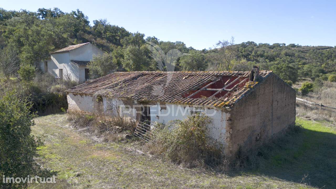 Quinta de 11 hectares com uma ribeira em Boavista dos Pinheiros - Grande imagem: 2/32