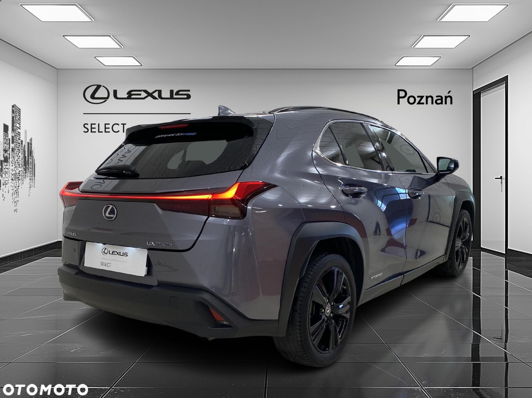 Lexus UX 250h GPF F Impression 2WD - 5