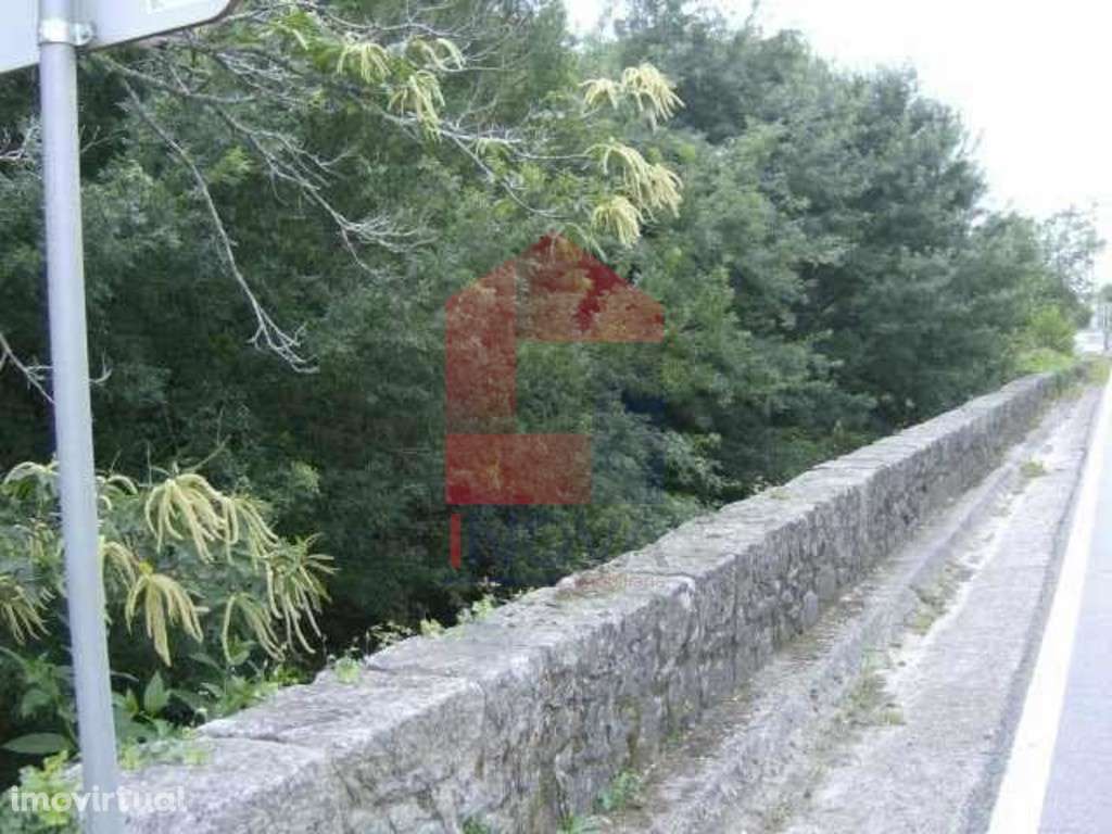 Terreno agrícola, Coucieiro - Grande imagem: 5/5