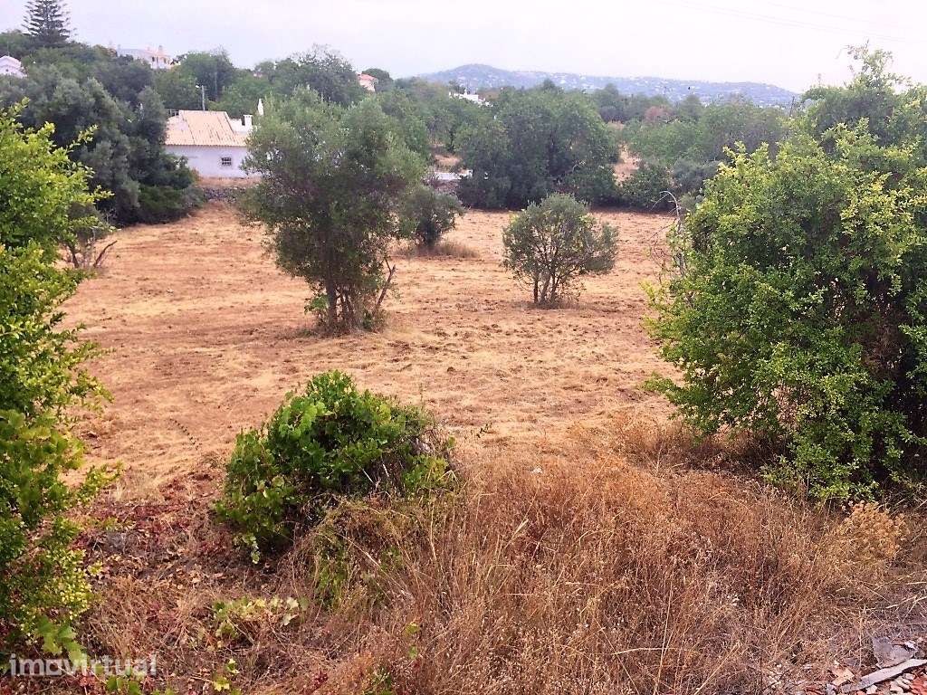 Moradia antiga para recuperar, Loulé, Algarve - Grande imagem: 4/19