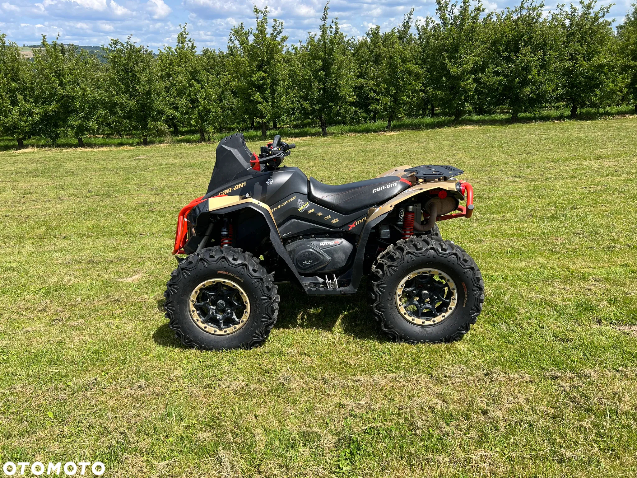 Can-Am Renegade