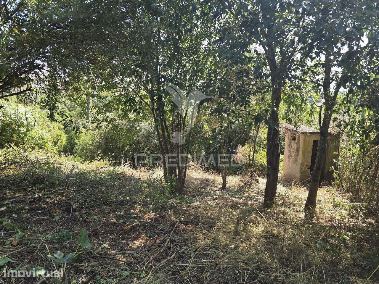 Moradia com lote terreno 750 m2 Bordalo, Santa Clara, Coimbra - Grande imagem: 4/11
