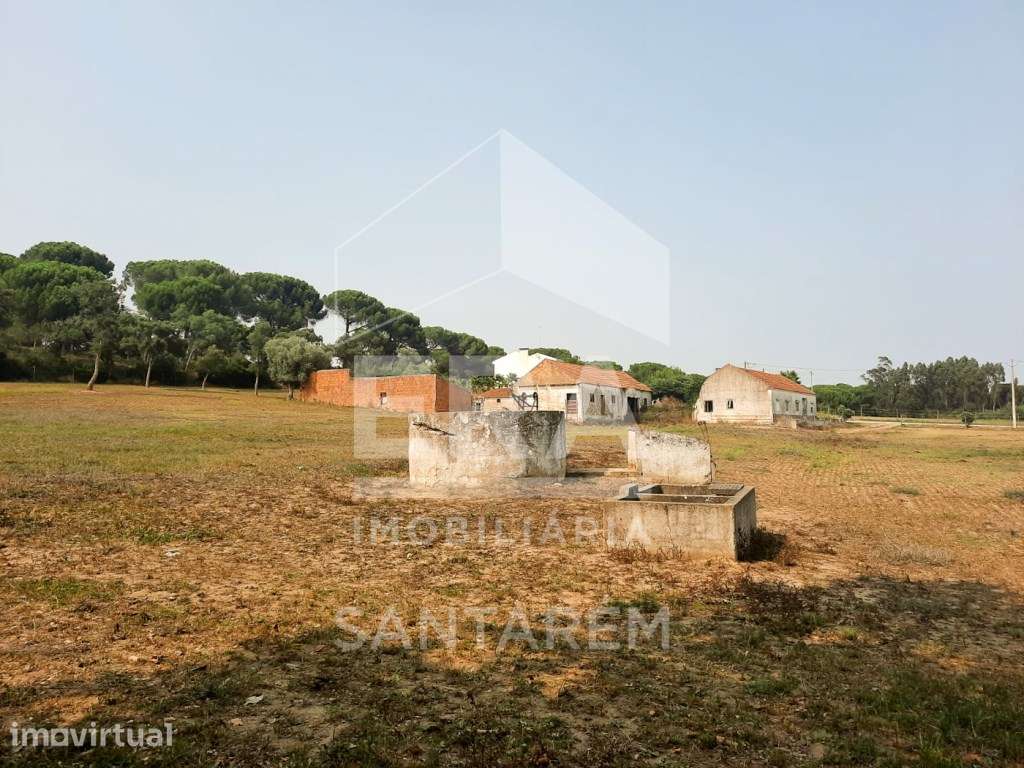 Terreno com viabilidade de Loteamento - Grande imagem: 5/10