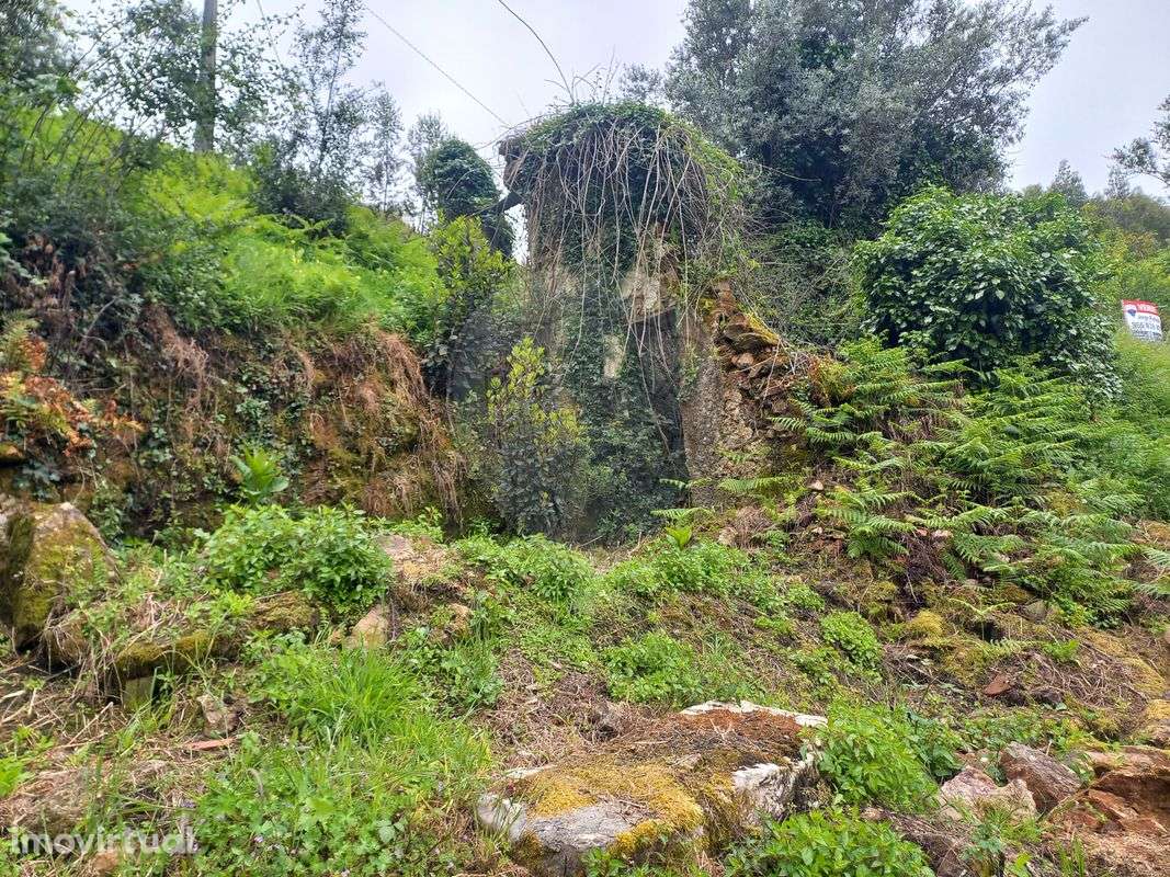 Terreno  para venda - Grande imagem: 2/4