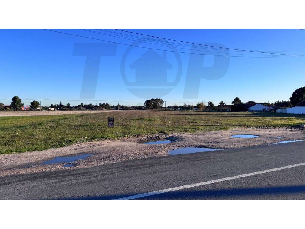 LOTES PARA CONSTRUÇÃO - 1406M2 - Foros de Salvaterra - 95.000€ - Grande imagem: 3/4