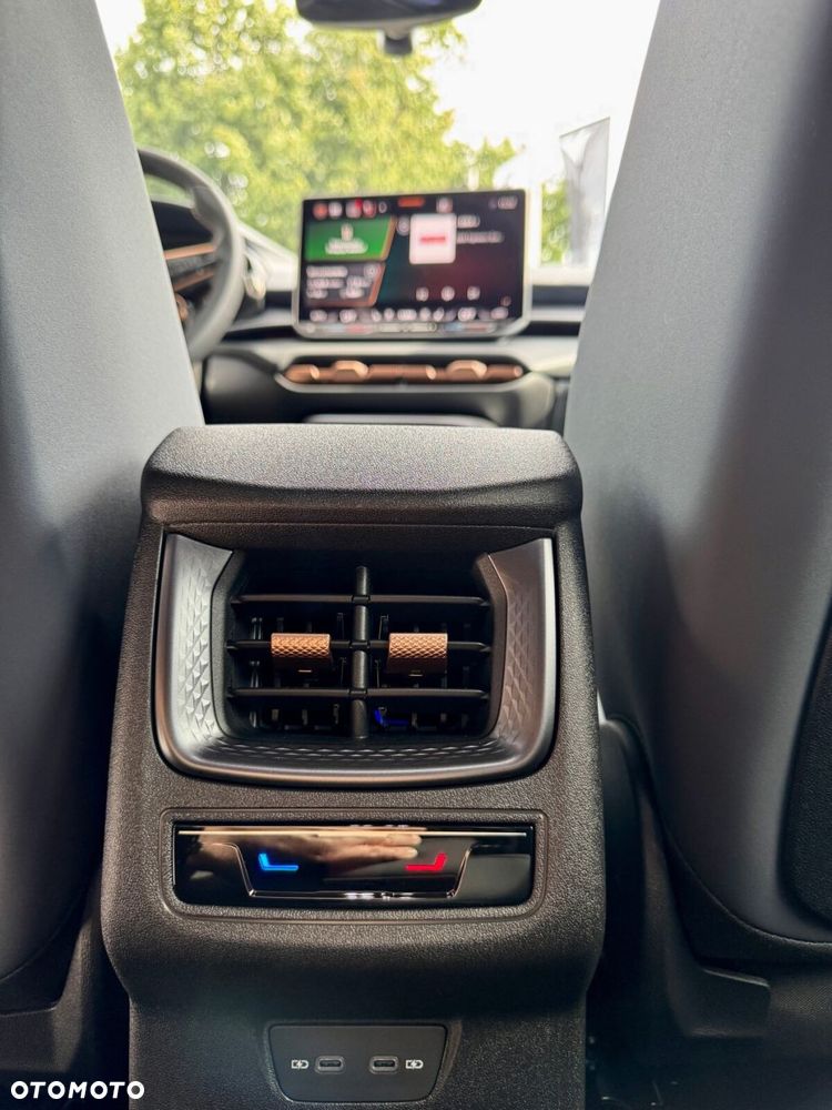 Cupra Terramar 2.0 TSI 4Drive DSG - 30