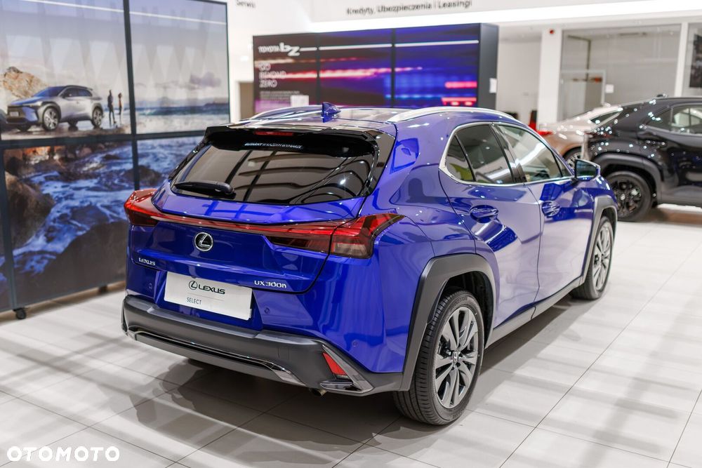 Lexus UX 300h F Sport Design - 19