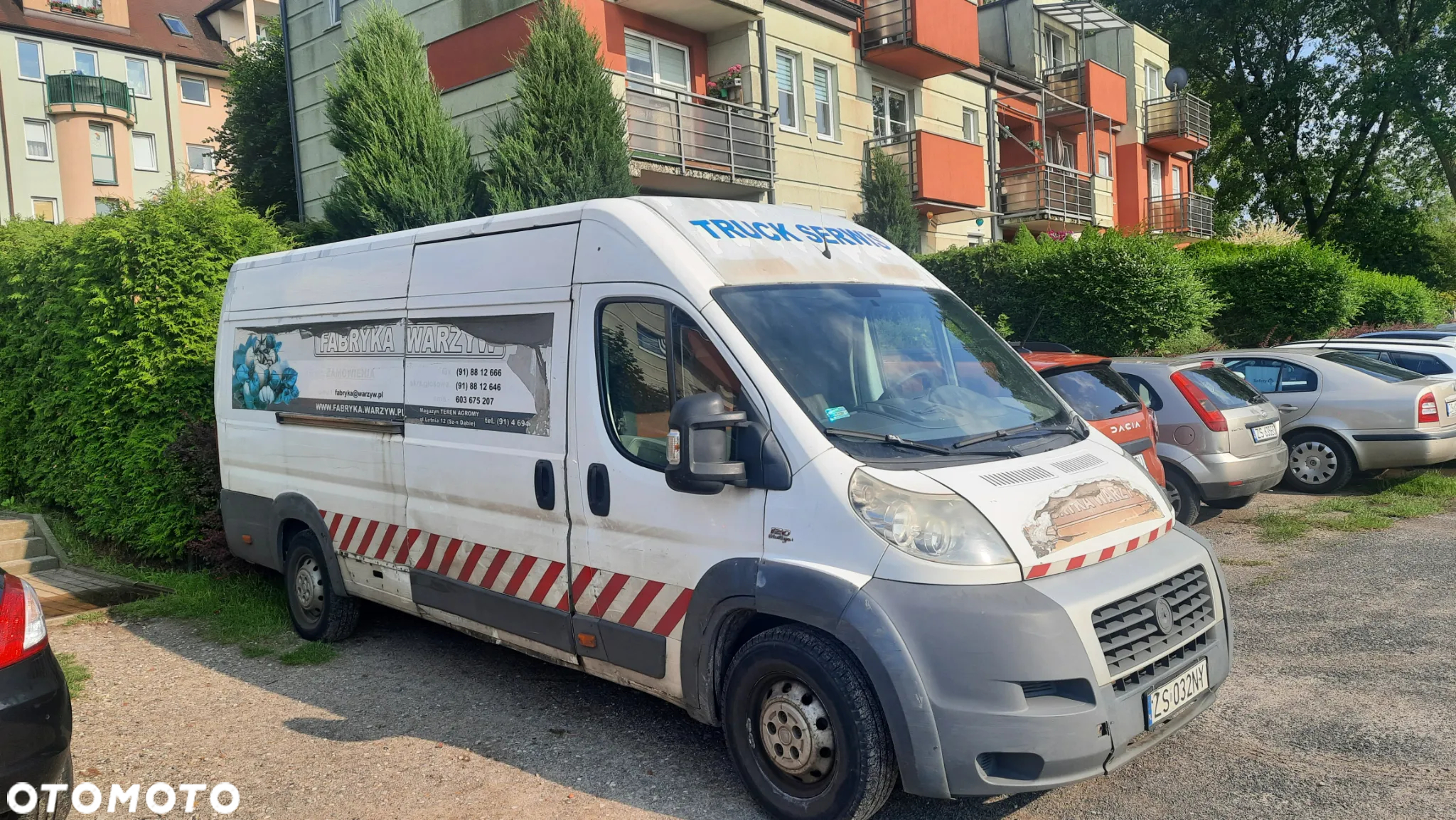 Iveco daily - 3