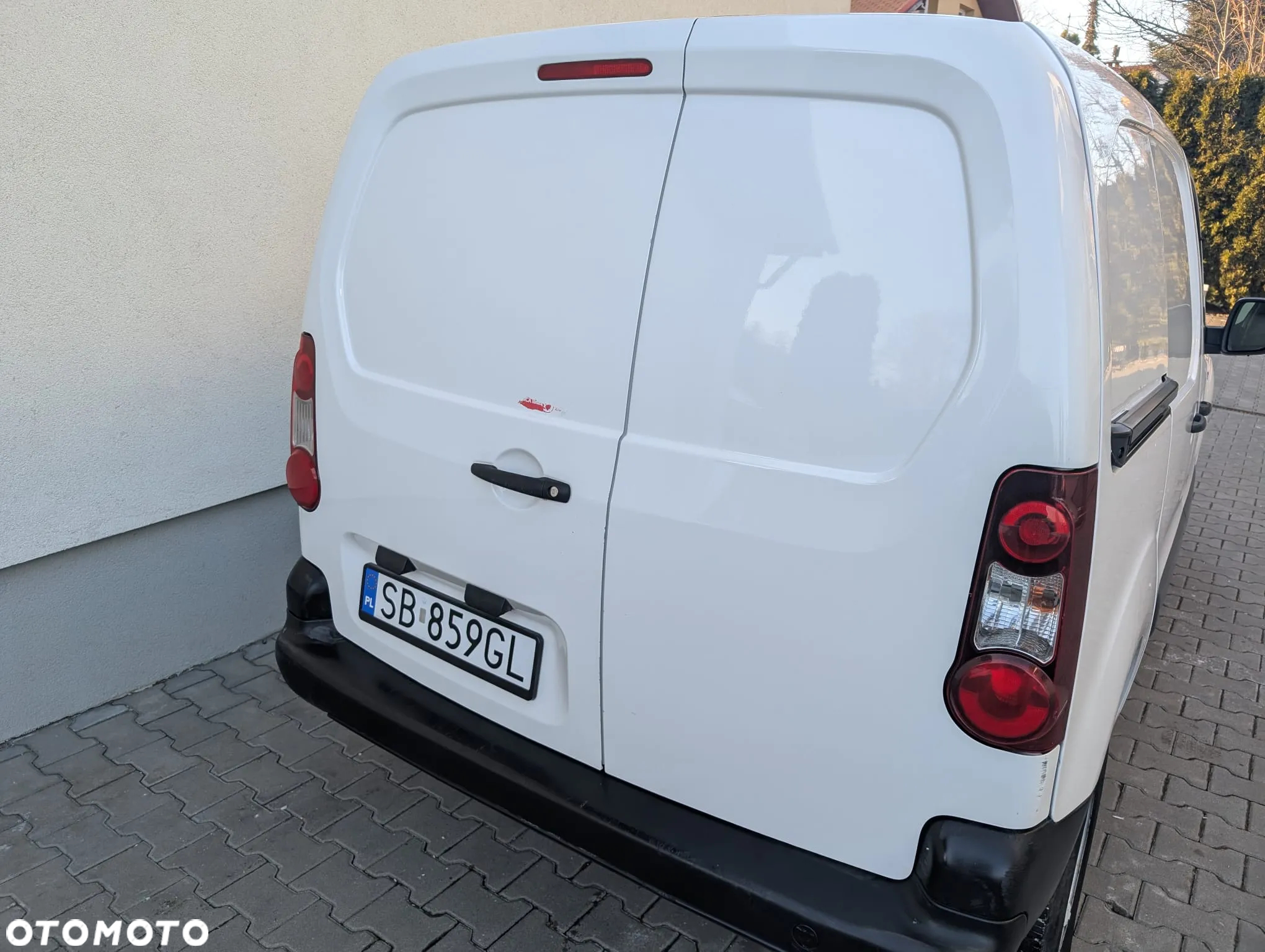 Peugeot PARTNER III Dangel 4x4 - 7
