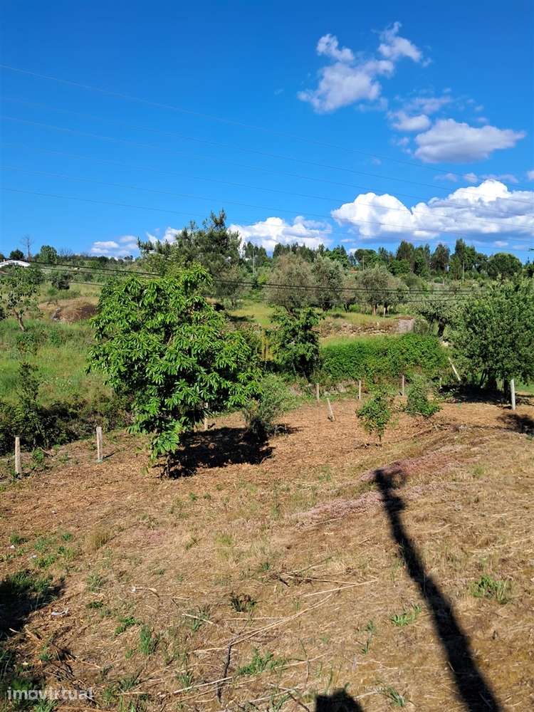 Terreno Para Construção  Venda em Nelas,Nelas - Grande imagem: 3/17