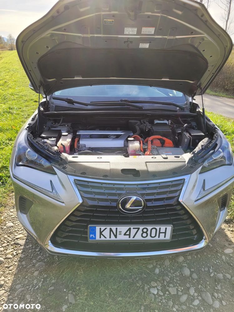 Lexus NX 300h Business Edition - 18