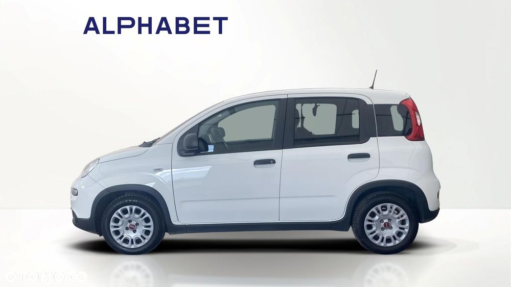 Fiat Panda - 2