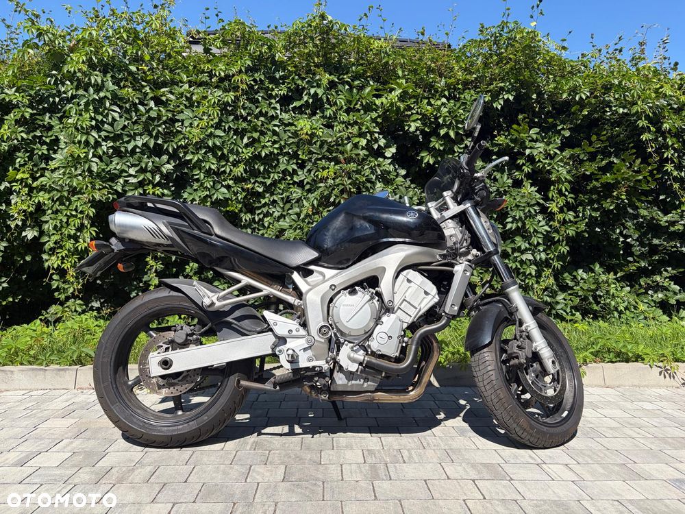 Yamaha FZ6 - 3