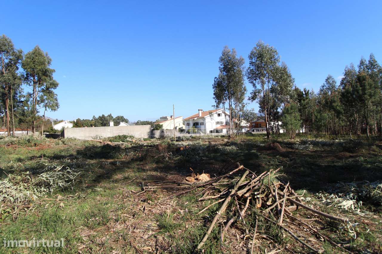 Terreno Urbanizável com 9.200 m2 em Alvarães, Viana do Castelo ! - Grande imagem: 3/15