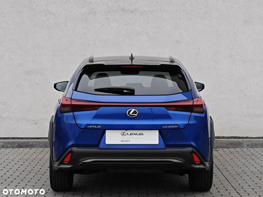 Lexus UX 250h GPF F Sport Design+ 2WD - 9