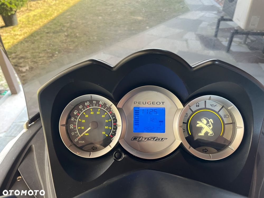 Peugeot Citystar - 8