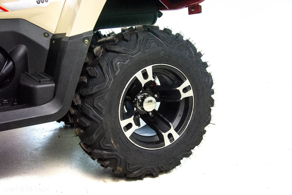 ASIX Challanger 300 - 7