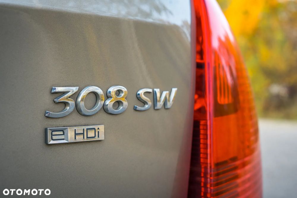 Peugeot 308 - 15